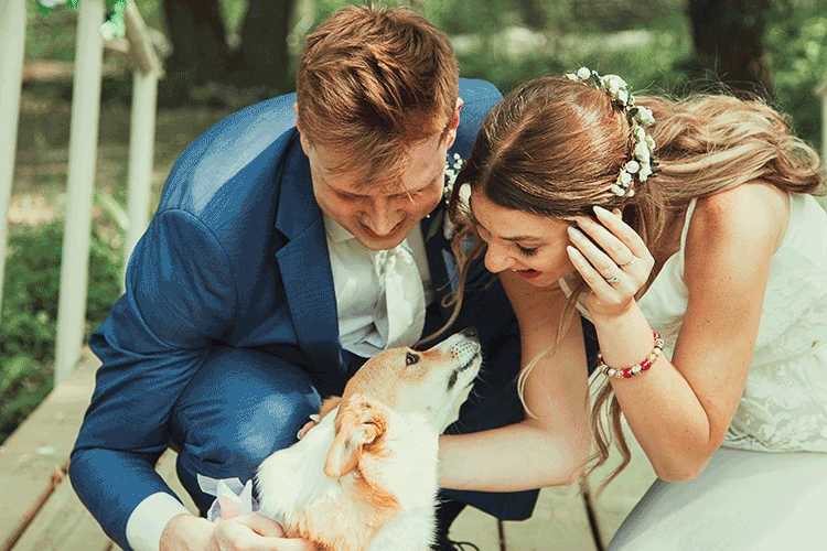 Husband and wife newlyweds kissing on wedding day.